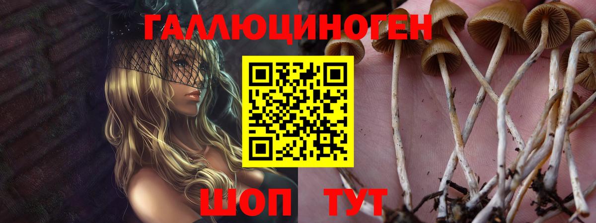 Псилоцибиновые грибы Cubensis Евпатория